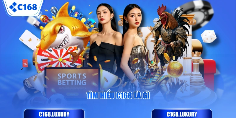 Tìm hiểu C168 là gì
